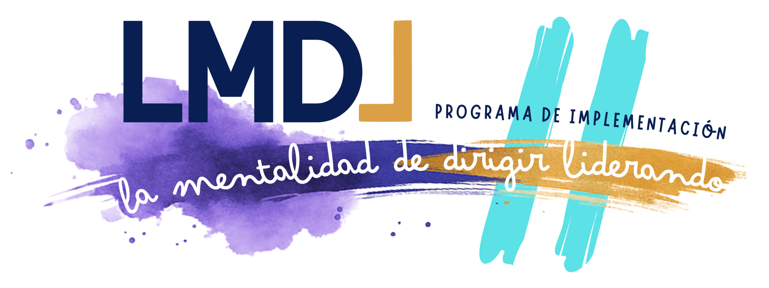 LMDL Programa de Implementación